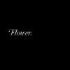 flower_28429.jpg